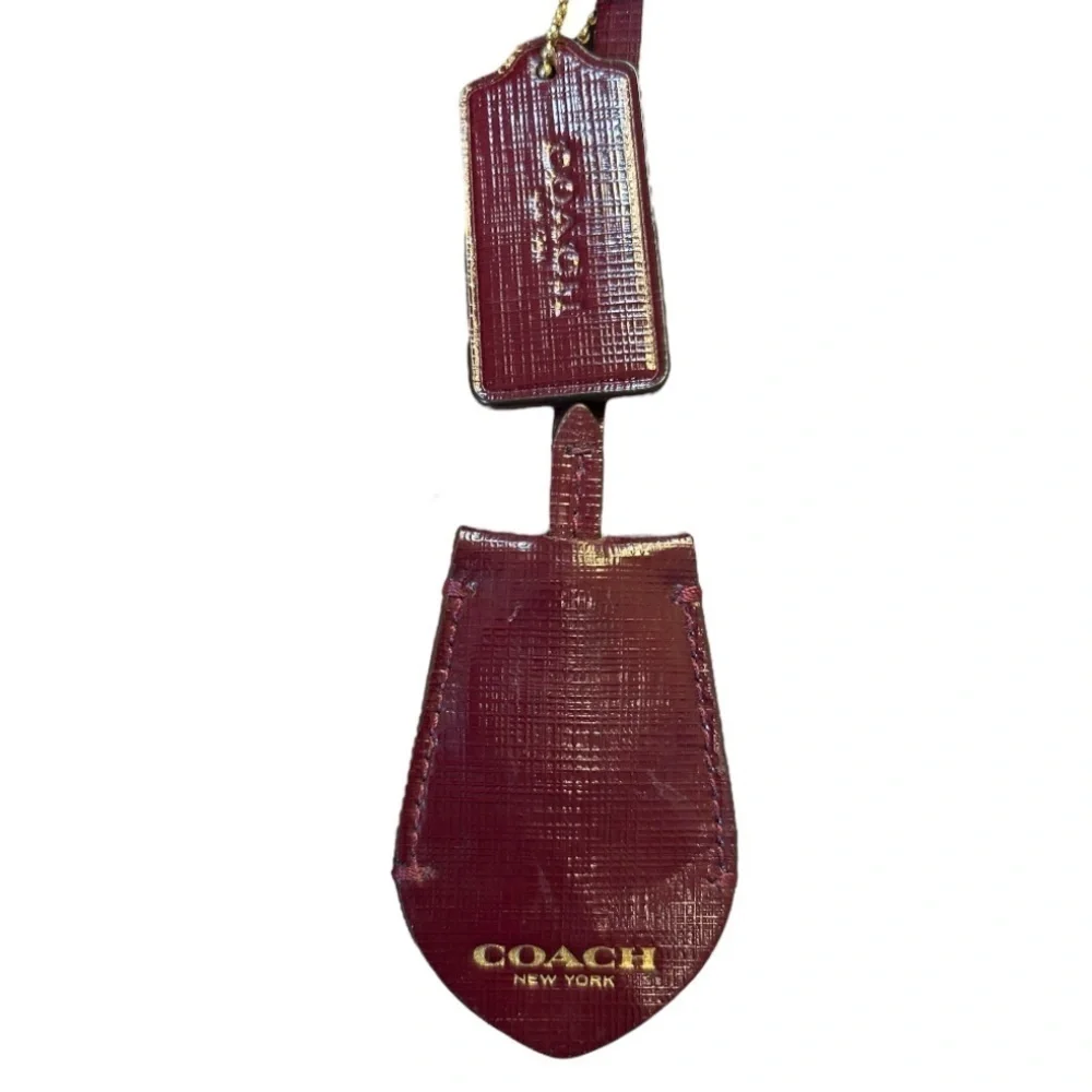 FLAWLESS Coach Peyton leather Cora domed satchel